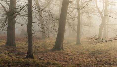 Die Stille des Dorfes: Abstrakter Expressionismus trifft auf melancholische Landschaften